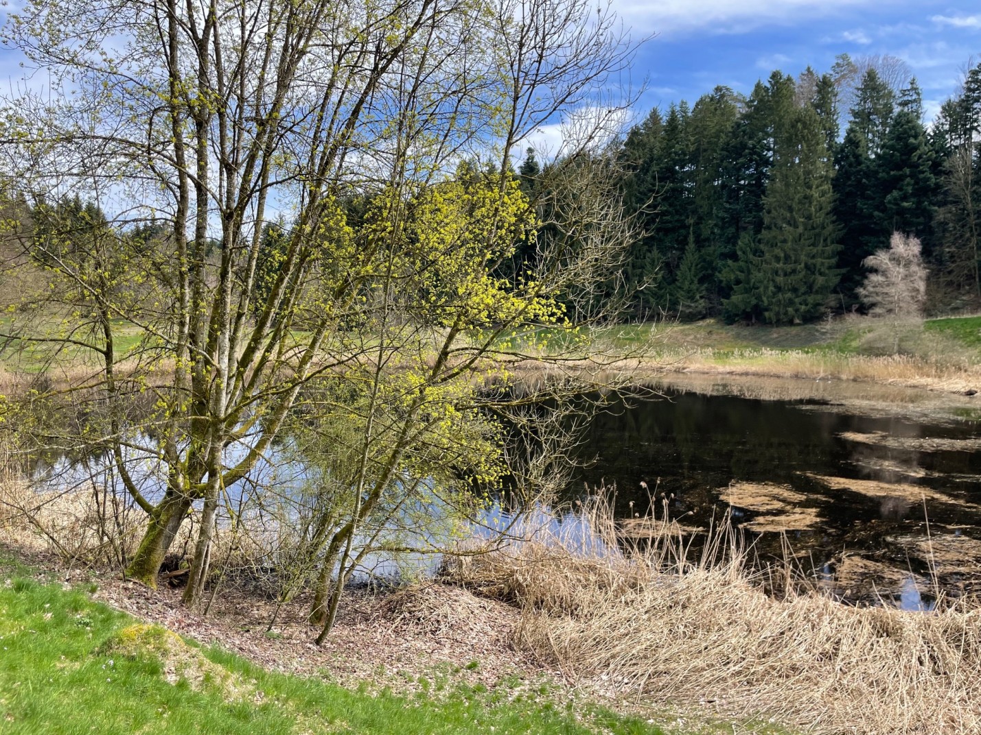 Wandern Familien Meggerwald