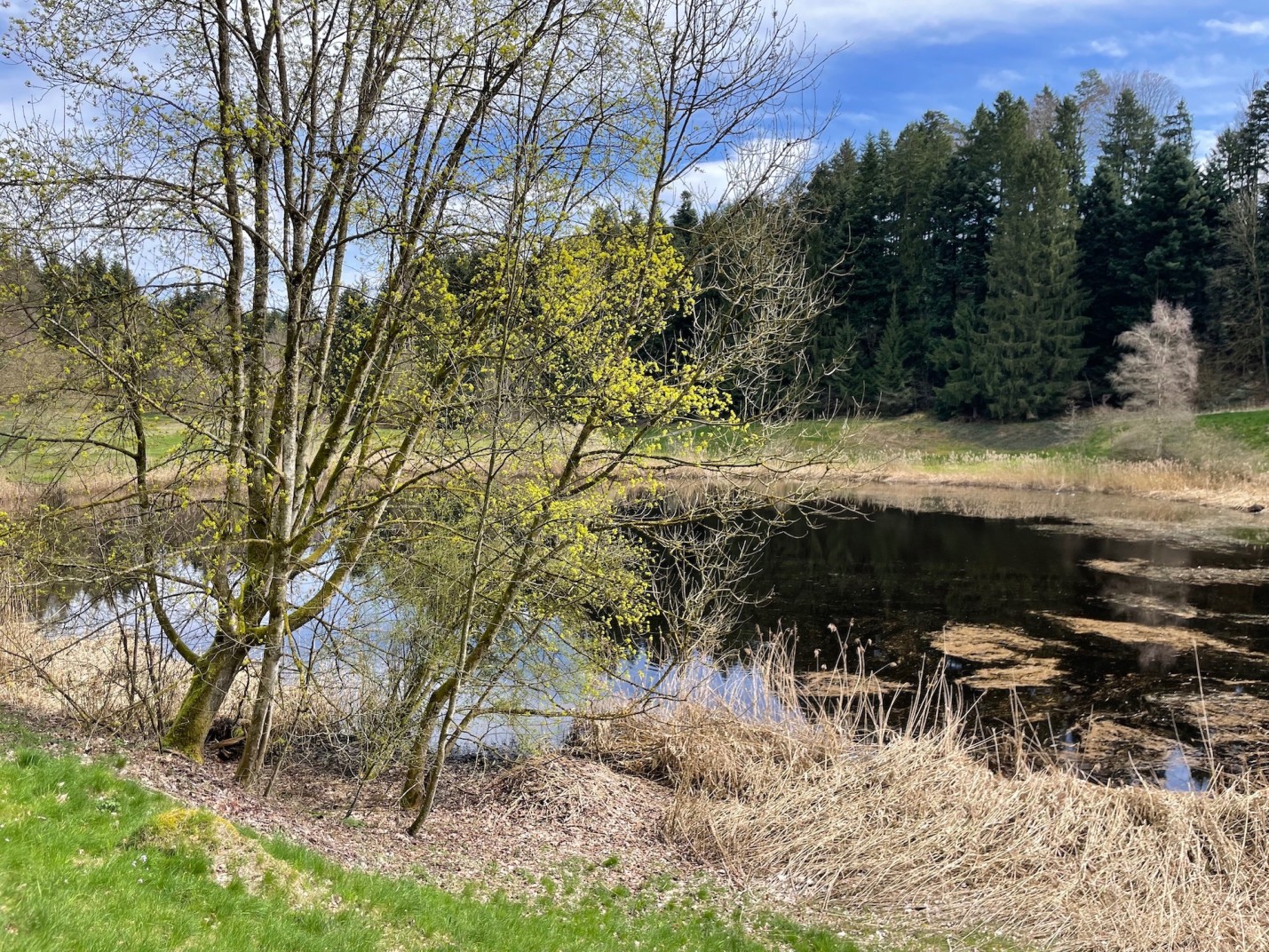 Wandern Meggerwald