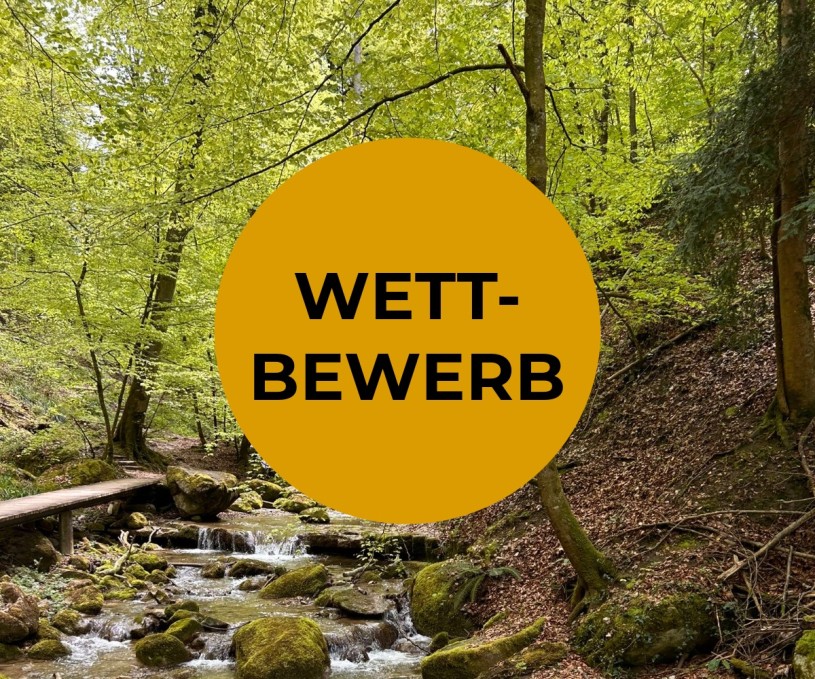 Suchwettbewerb_Button