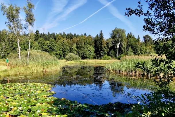 Wanderung Hitzkirch Vogelmoos