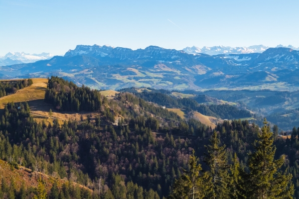 Köhlerei - uralte Energie Romoos-Bramboden