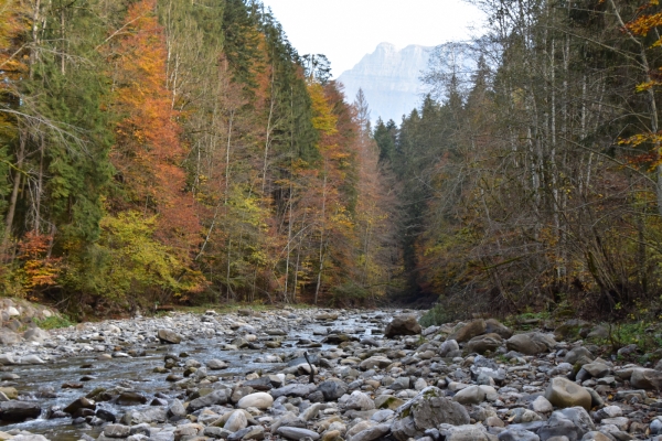 Vom Entlebuch ins Emmental