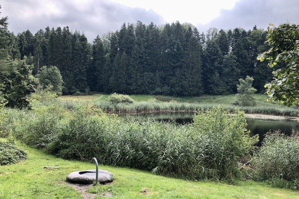 Der Natur im Meggerwald auf der Spur