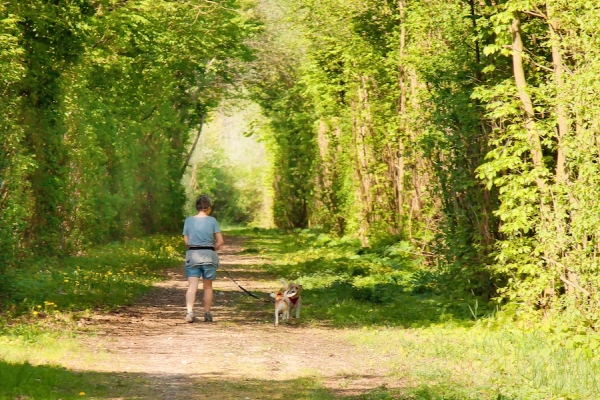 Rundwanderung Dagmersellerwald