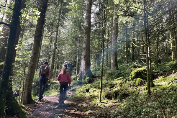 Vom Eigenthal nach Schwarzenberg