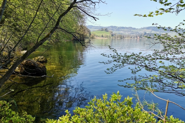 Frühlingswanderung am Zugersee