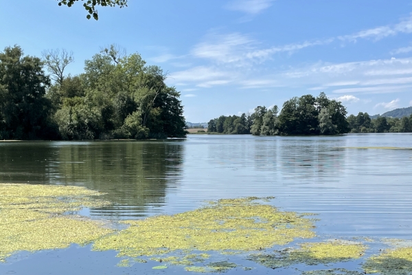 12 Minuten hin, vier Stunden zurück