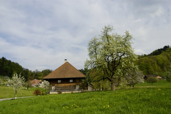 Rundwanderung zur Uerke