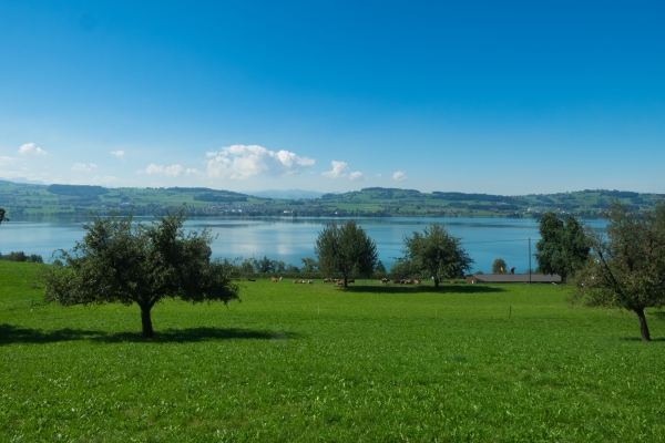 Frühlingswanderung mit Rundumblick 