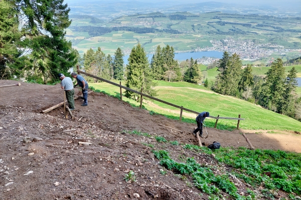 Den historischen Rigiweg «verkehrt» erkunden