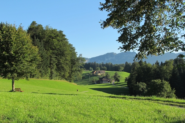 Bireggwald und Horwer Halbinsel