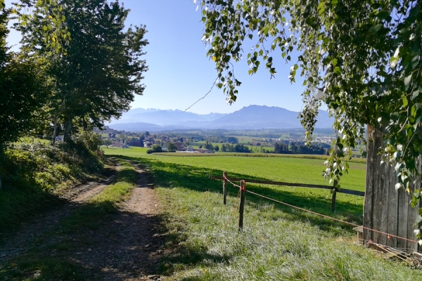 Kulturelle Wanderung im Seetal