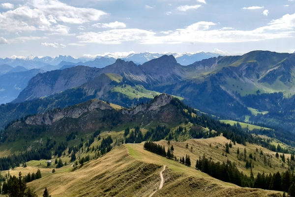 Höhenwanderung auf Sörenbergs Sonnenseite