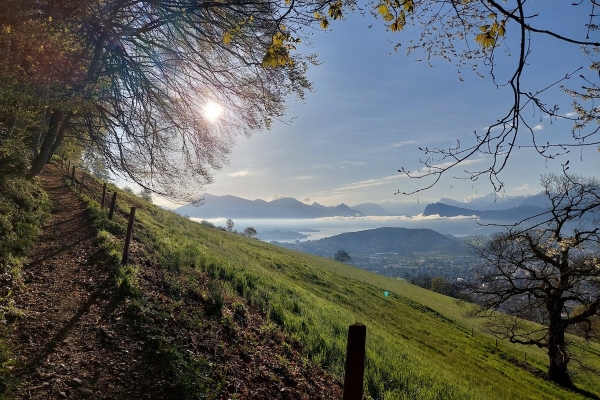 Familienwanderung Sonnenberg