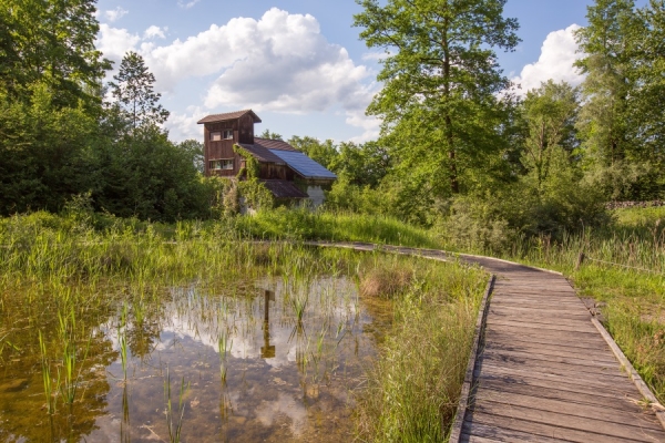 Zur Burgruine Kastelen