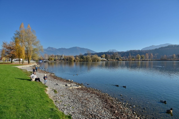 Zürichsee und Insel Unfenau