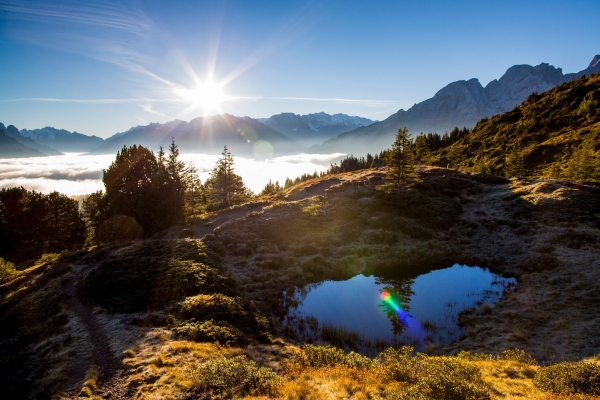 Kaltenbrunner Hochmoor