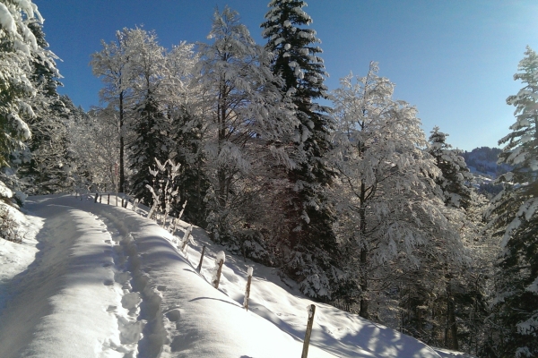 Schneeschuhtour Sternenegg