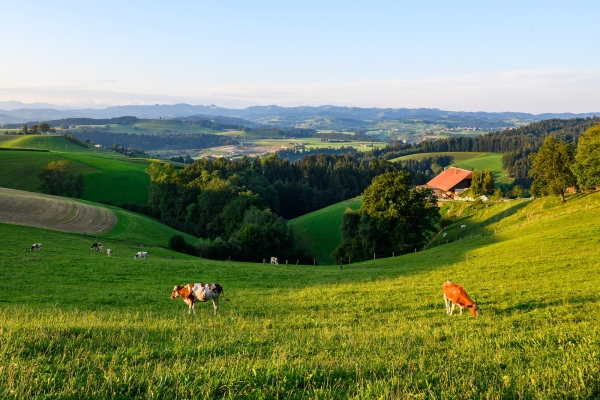 Gratwegs vom Bernbiet über den Napf