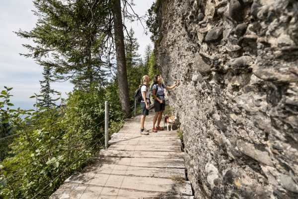 Rigi Felsenweg