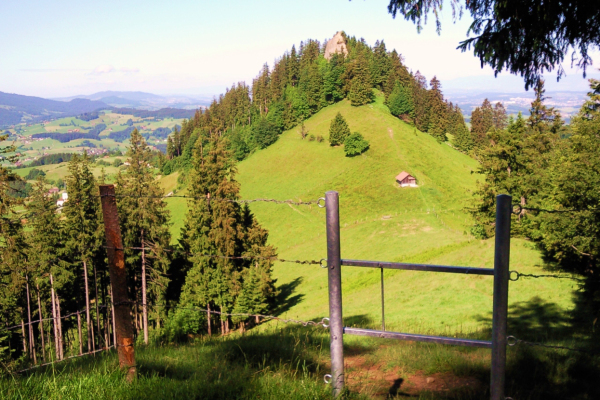 Vom Schwarzwasser zum Guggershorn