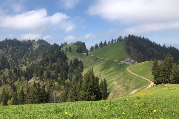 Von der Berner Seite auf den Napf