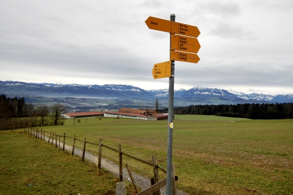 Über den Lindenberg