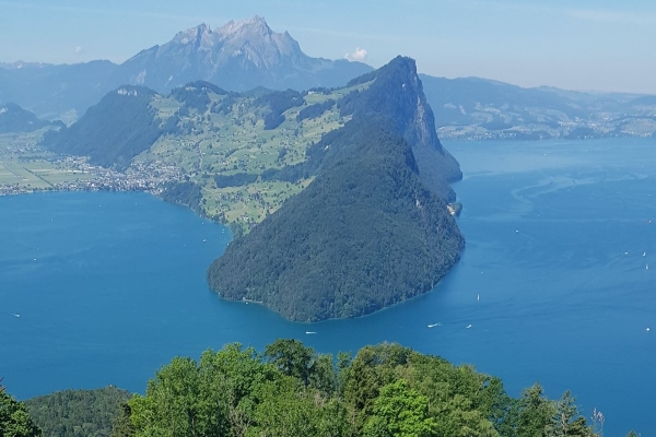 Frühlingserwachen auf der Rigi-Nordseite