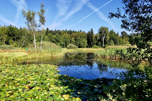 Seetaler Natur über der Erlosen