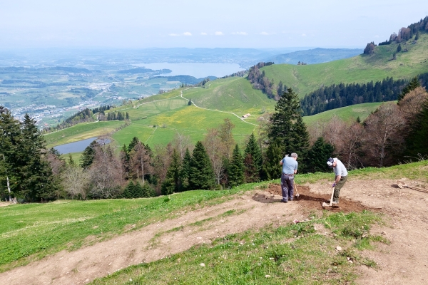 Den historischen Rigiweg «verkehrt» erkunden