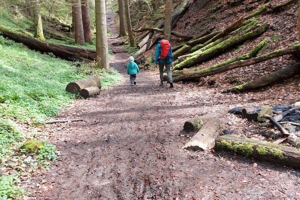 Familienwanderung Sonnenberg