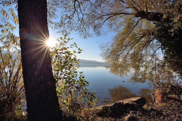 Sempachersee-Moosweg