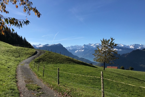 Schwyzer Höhenweg, Sattel - Haggenegg - Schwyz