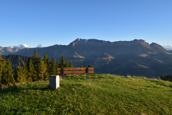 Zum Aussichtspunkt Wachthubel