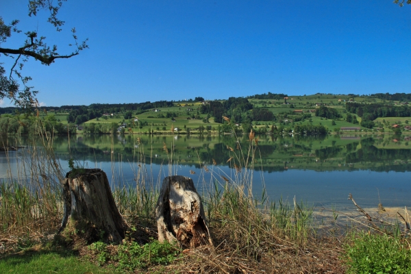 Frühlingsanfang am Baldeggersee