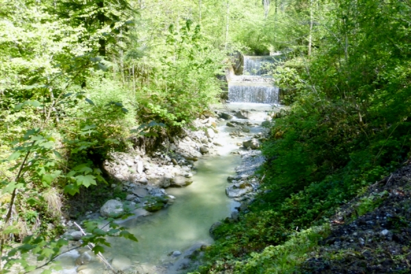 Naturschönheiten im Gitzitobel