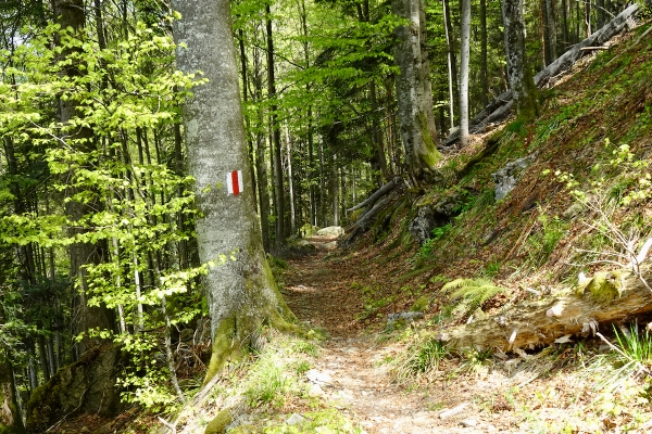 Grenzen und Höhenzüge am Pilatus