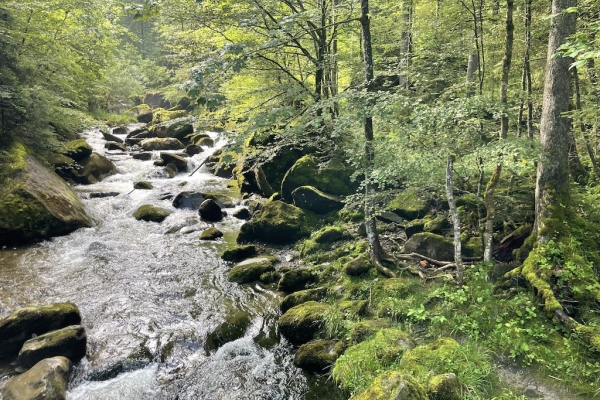 Vom Eigenthal nach Schwarzenberg