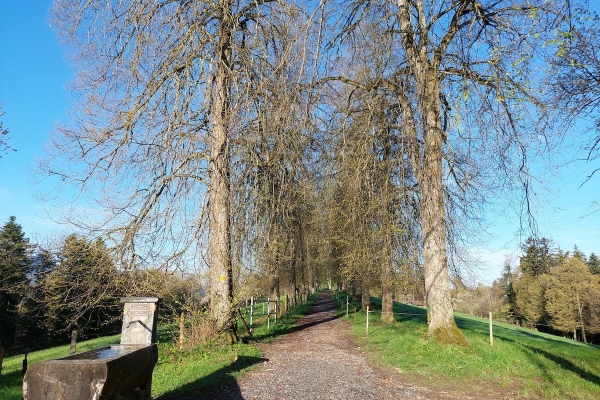 Familienwanderung Sonnenberg