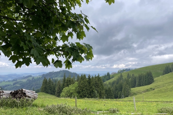 Gratwanderung von Eggiwil nach Marbach