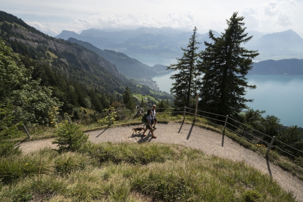 Rigi Felsenweg