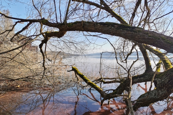 Seeuferweg Hallwilersee