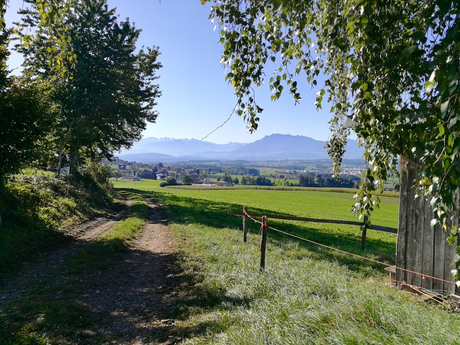 Den Pilatus stets vor Augen.