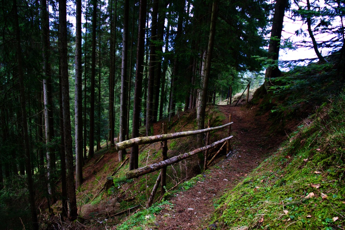 Waldweg im Abstieg vom Wachthubel. Foto: Ramona Fischer