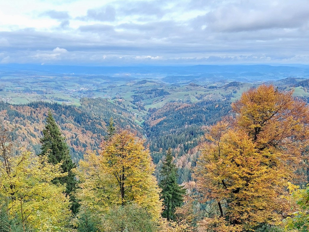 Der abgerutschte Wegabschnitt wurde vom Bautrupp saniert.