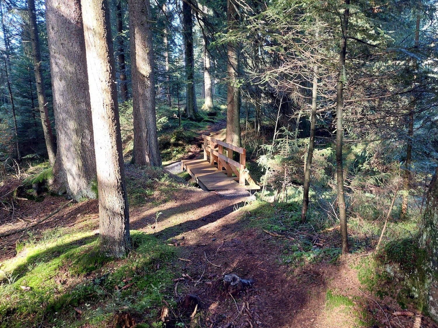 Einsatz des Bautrupps der Luzerner Wanderwege im Fuchseremoos