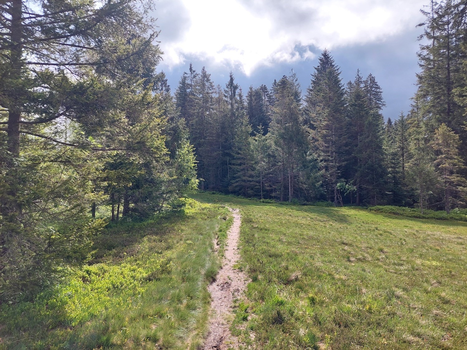 Wanderung von Gfellen nach Entlebuch