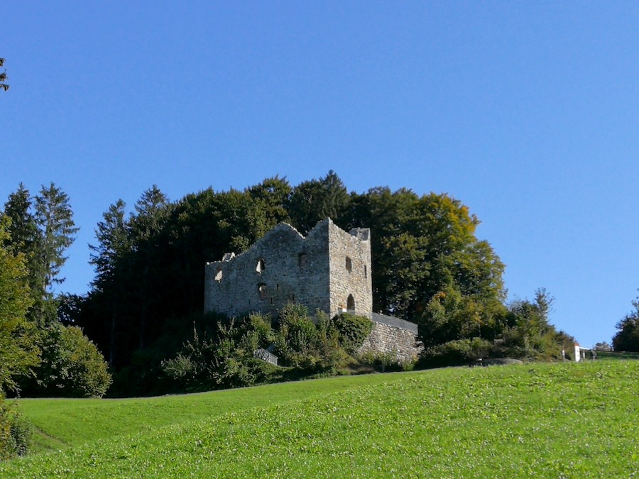 Die Burgruine Nünegg.