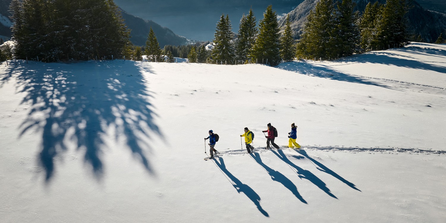 Beat Brechbühl, RIGI BAHNEN AG