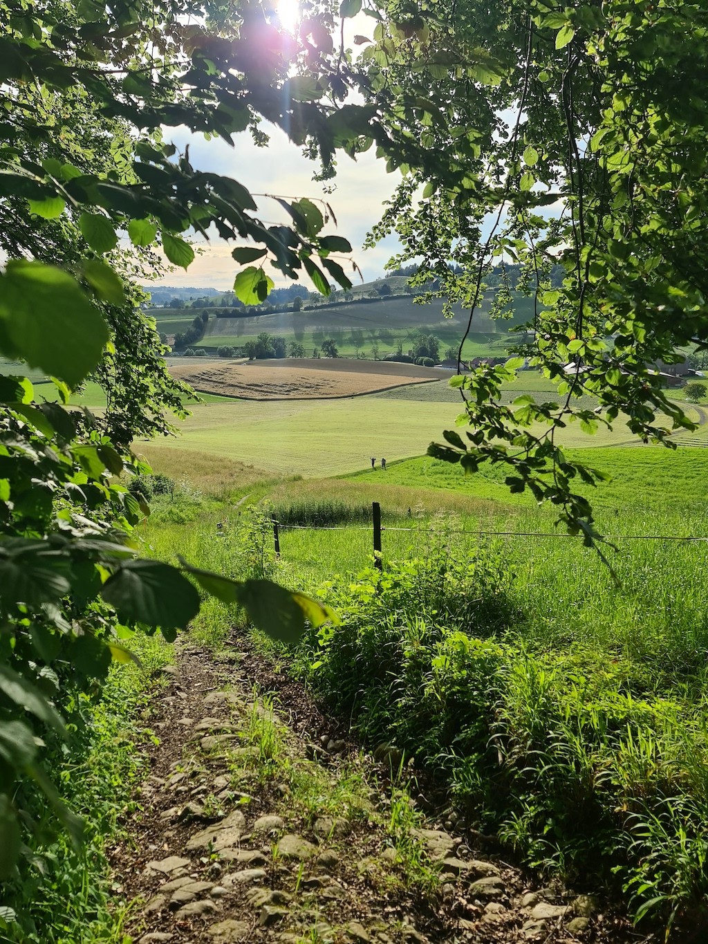 Schöne Wanderung von Ruswil nach Hellbühl.